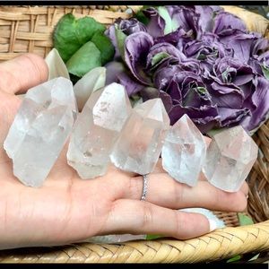 Bundle of 5 Natural Pointed Clear Quartz (Crystal)